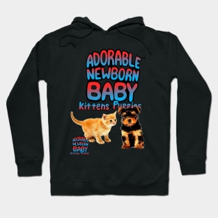 ADORABLE NEWBORN BABY KITTENS & PUPPIES Hoodie